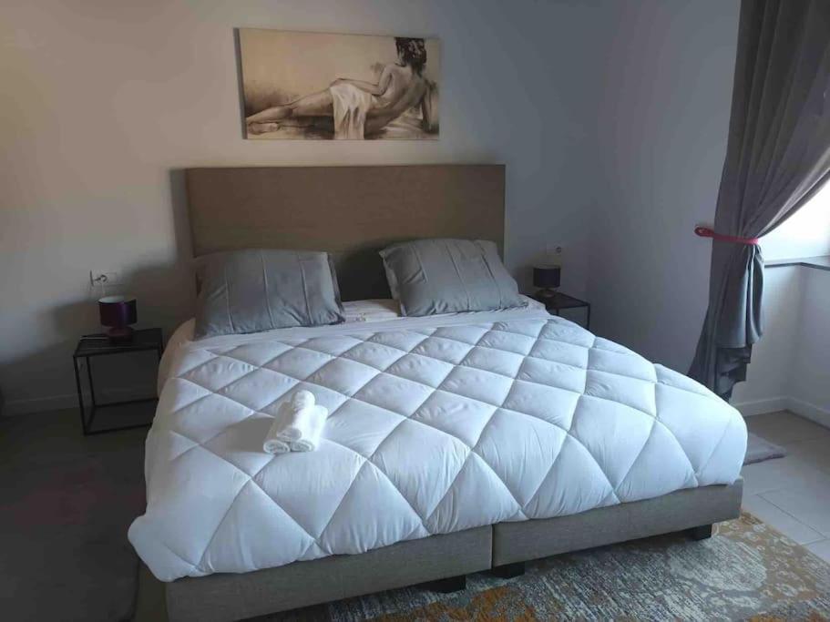 Appartamento Confortevole Deinze Dış mekan fotoğraf